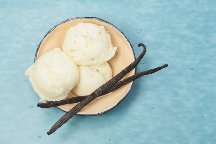Vanilla ice cream in rustic bowl on blue table. Top view