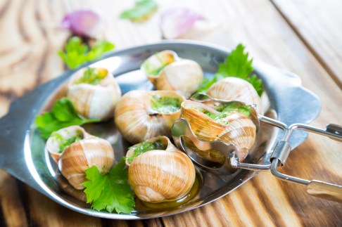 escargot
