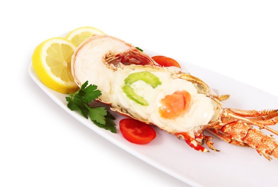 aragosta in gelatina