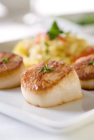 Seared sea scallops with orzo and vegetables.