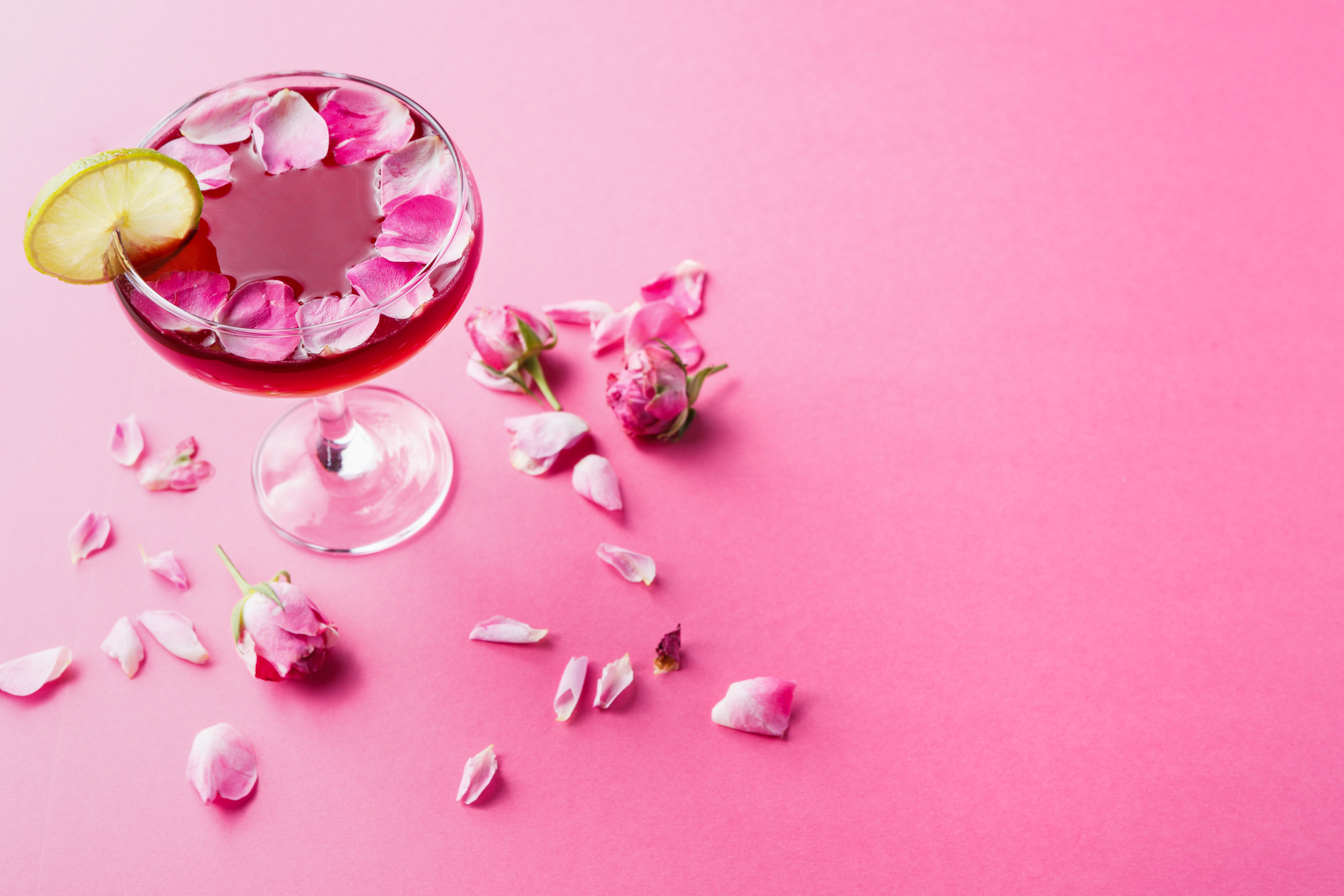Rose cocktail in champagne glass on pink background